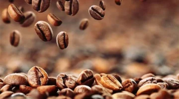 ارتفاع سعر القهوة يدفع لإغلاق أكثر من 200 شركة ومحمصة في إسبانيا وتأثيره على سوق المشروبات الساخنة